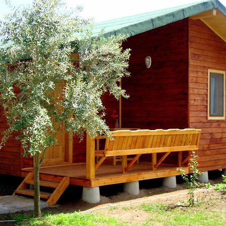 Sera Pansiyon Çıralı Exteriör bild