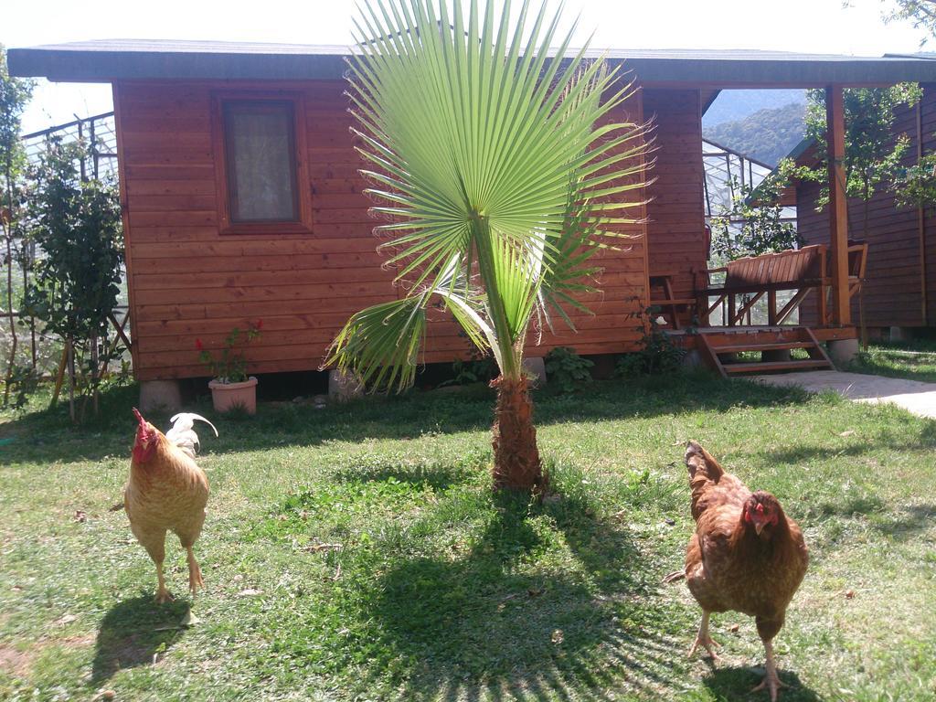 Sera Pansiyon Çıralı Exteriör bild