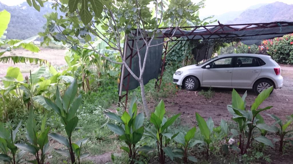 Sera Pansiyon Çıralı Exteriör bild